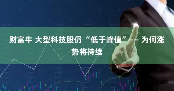 财富牛 大型科技股仍 “低于峰值”—— 为何涨势将持续
