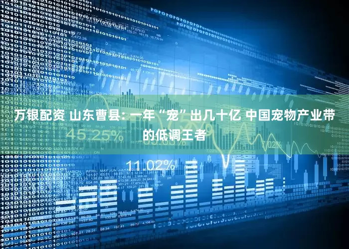 万银配资 山东曹县: 一年“宠”出几十亿 中国宠物产业带的低调王者