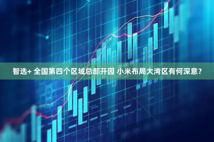智选+ 全国第四个区域总部开园 小米布局大湾区有何深意？