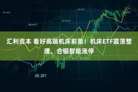 汇利资本 看好高端机床前景！机床ETF震荡整理，合锻智能涨停