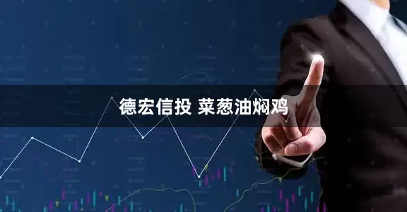 德宏信投 菜葱油焖鸡