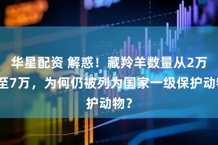 华星配资 解惑！藏羚羊数量从2万增至7万，为何仍被列为国家一级保护动物？